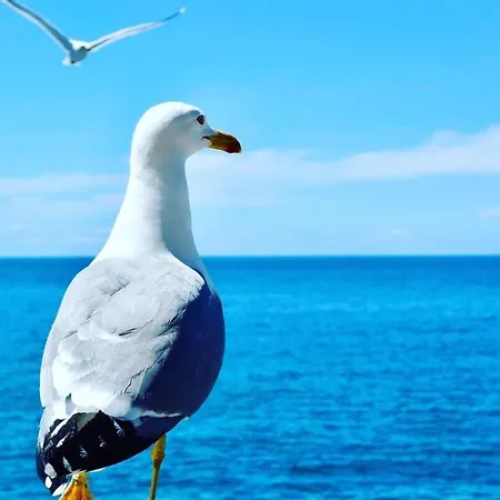 Hébergement de vacances La Casetta Di Zinu' *